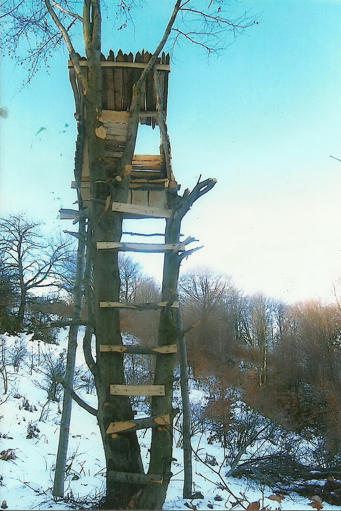 Donje Gare