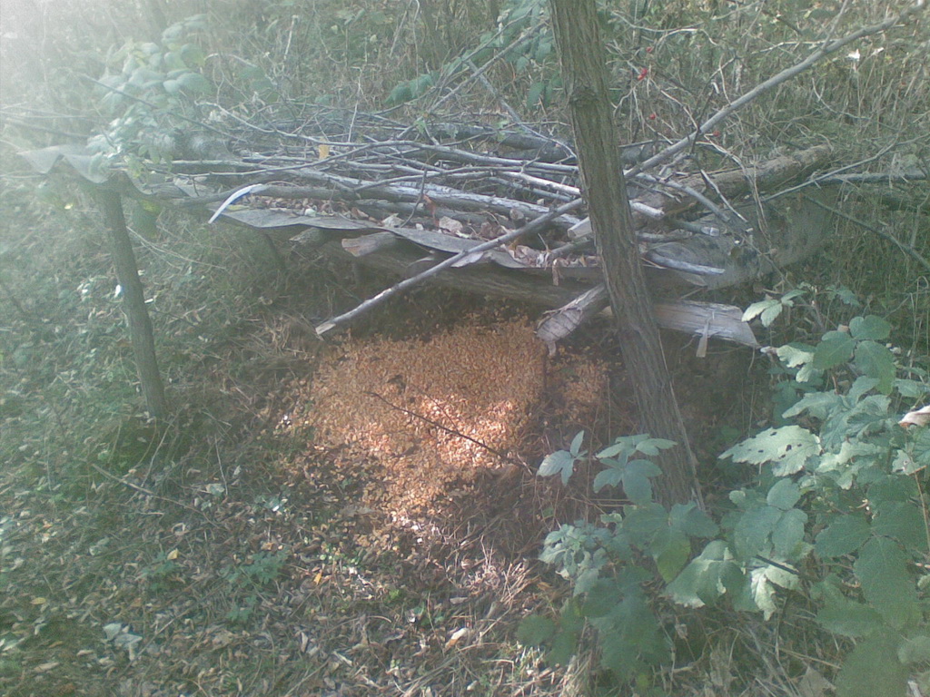 Hranilište