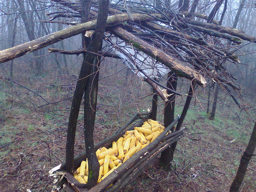 Hranilište