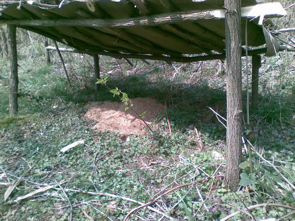 Hranilište