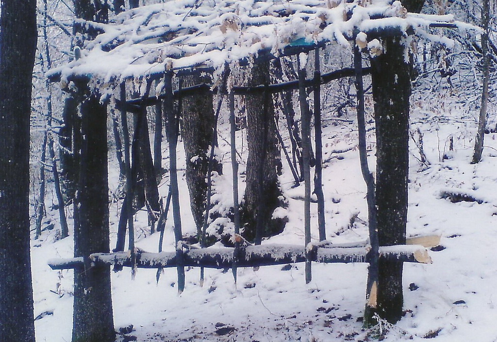 Dobroviš