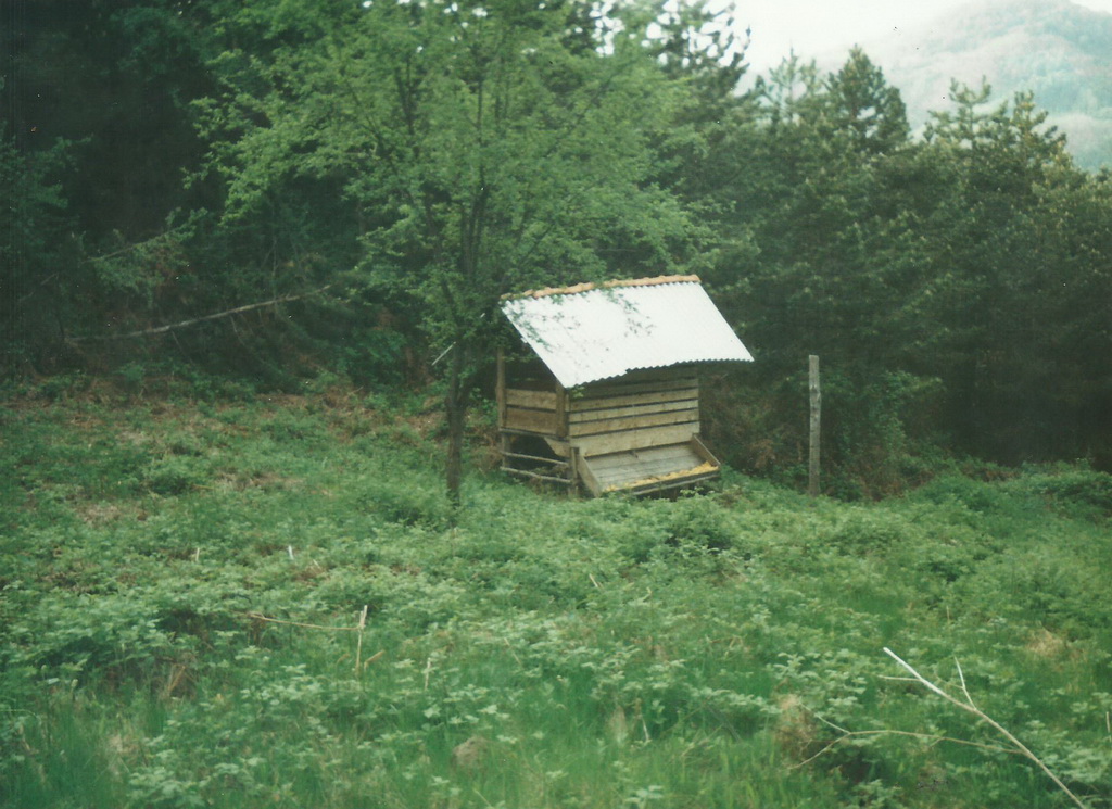 Kruševačko Bučje