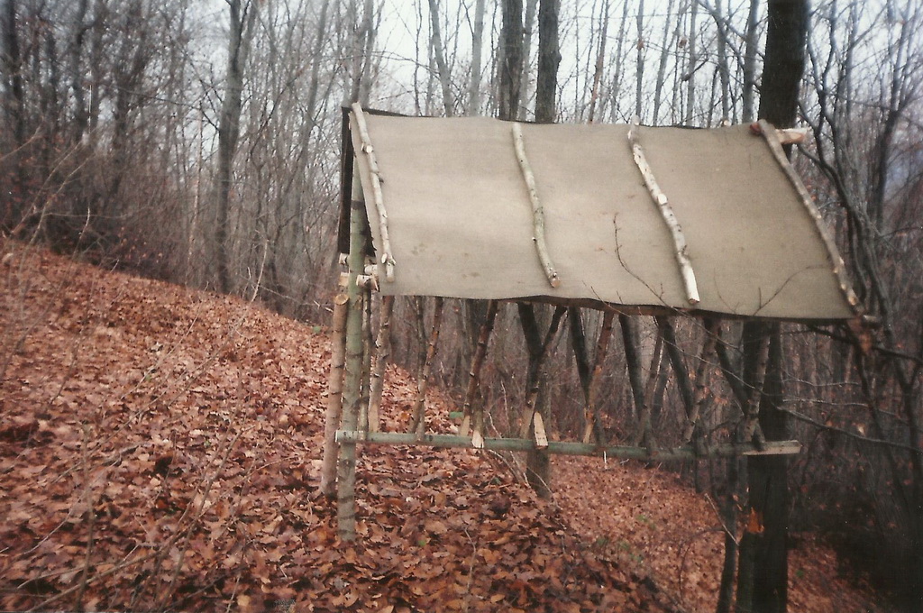 Sovičina