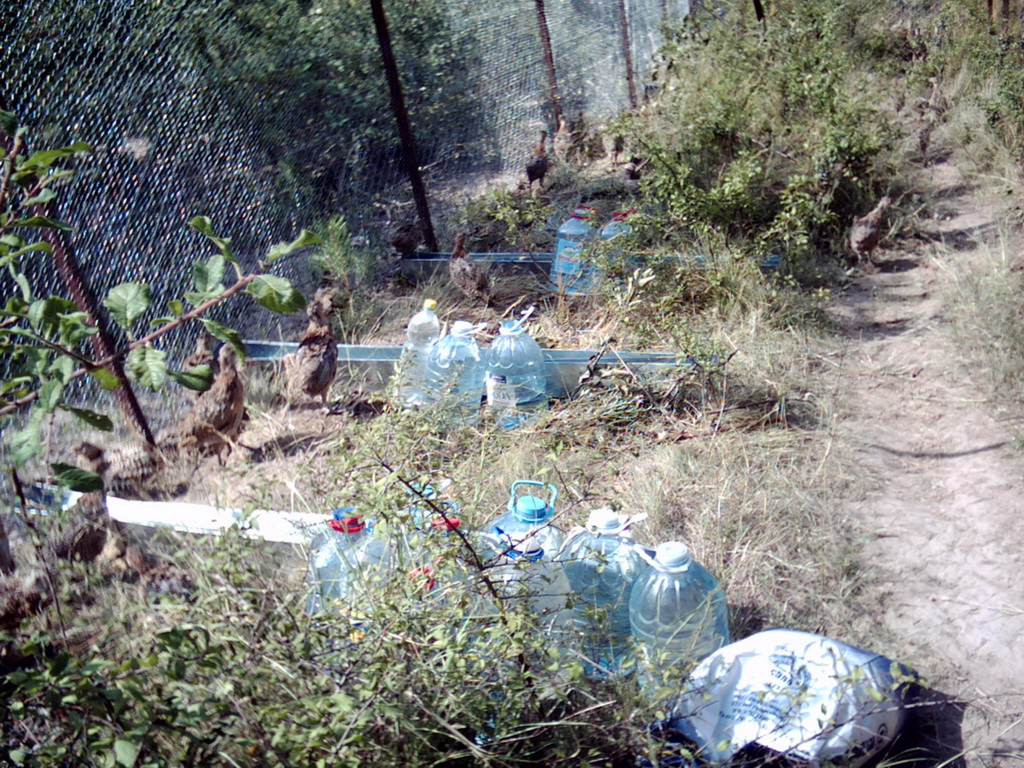 Prihvatilište za fazane