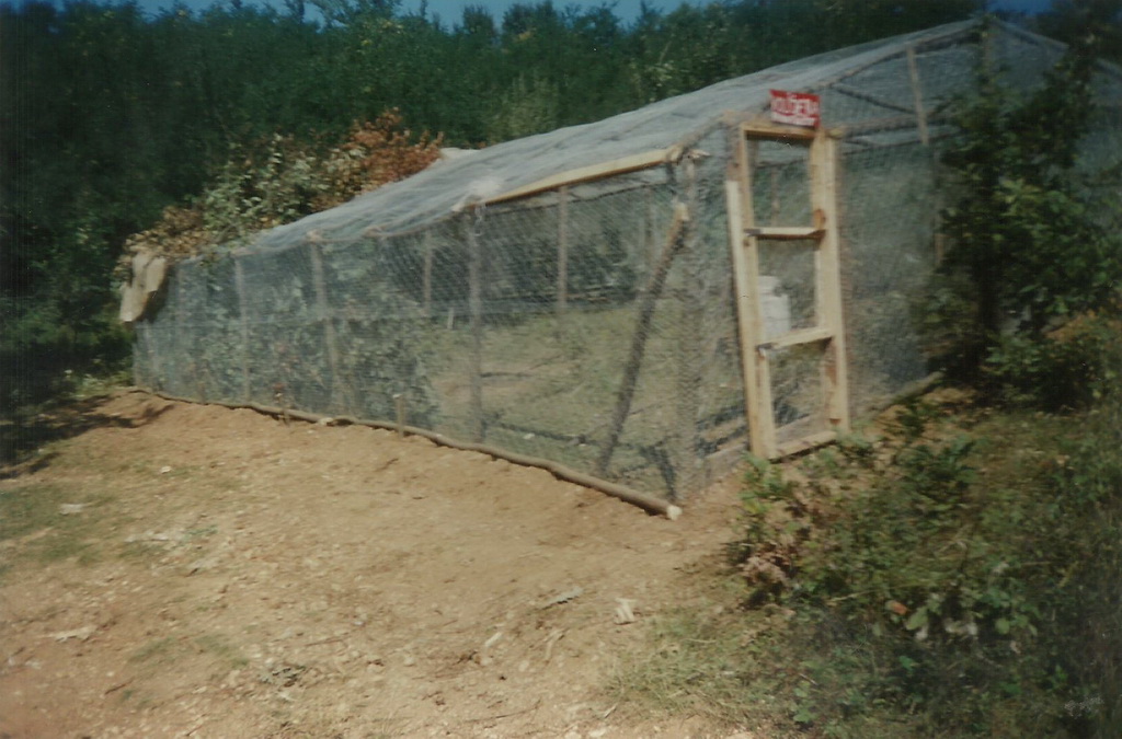 Volijera u Stajkovcu