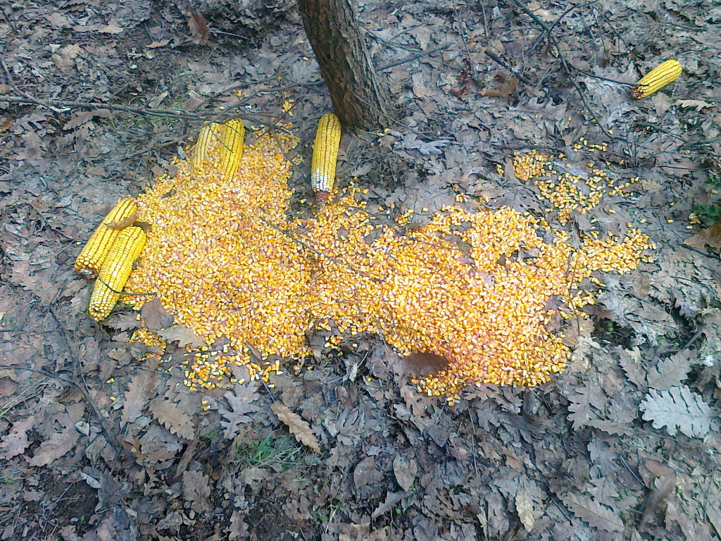 Zimska prihrana divljači